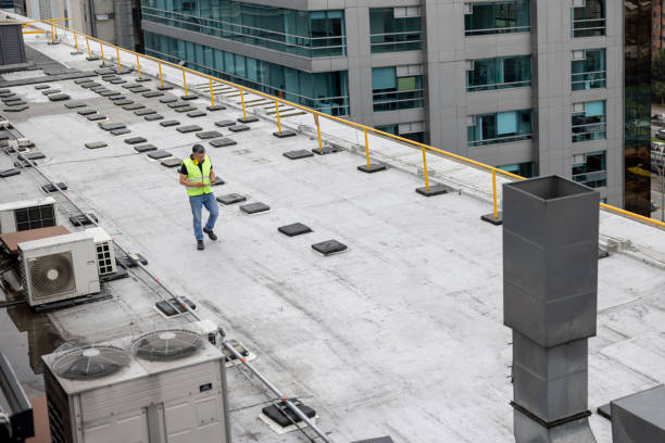 Best Cold Roofs  in Jellico, TN