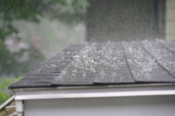 Best Gutter Installation and Repair  in Jellico, TN